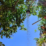 Casa Nettuno Σπίτι διακοπών